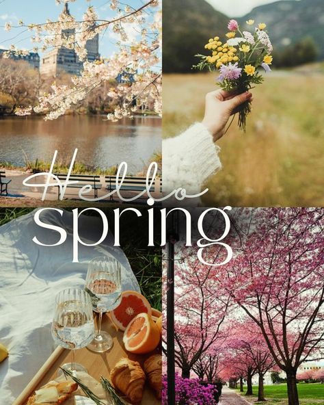 It’s officially Spring Season 🌷🌼🌸🌺 And we LOVE IT here ! 😍😍 | Enjoy 30% off entire store 🌸 Discount is automatically applied at checkout Spring Season Aesthetic, Primavera Aesthetic, 111 Tattoo Ideas, Primavera Pasta, Coastal Background, Hello Spring Wallpaper, Spring Aesthetic Wallpaper, April Aesthetic, Beachy Wallpapers