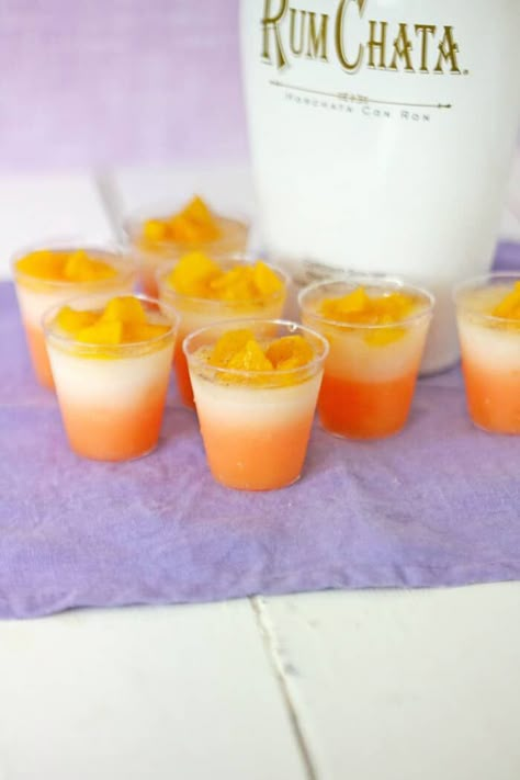 Charcuterie Shots, Classic Jello Shot Recipe, Booze Fruit, Raspberry Jello Shots, Peach Jello Shots, Pudding Shot Recipes, Alcohol Shots, Best Jello Shots, Rum Chata