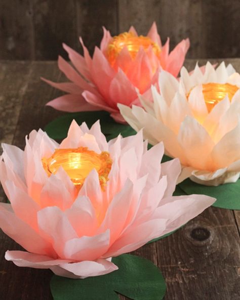 DIY paper flower luminaries Thai Party, Luminary Diy, Floral Shops, Tiana Birthday Party, Japanese Party, Disney Princess Wedding, Asian Party, Diy Flores, Fleurs Diy