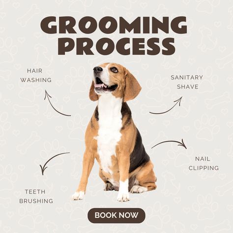 Grooming - Pet Care on Behance Pet Grooming Poster, Pet Grooming Advertising, Dog Training At Home, Pet Store Design, Pet Advertising, Pet Store Ideas, Dog Marketing, Pet Care Business, Training At Home