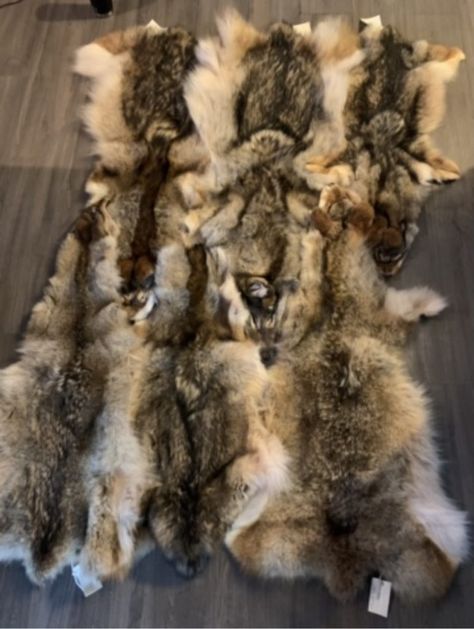 Predator control = Coyote Hide Blanket | Double U Hunting Supply How To Tan, Hunting Supplies, Double U, My Backpack, Coyote Fur, Deer Hunters, Fur Blanket, Hunting Dogs, Warm Blankets