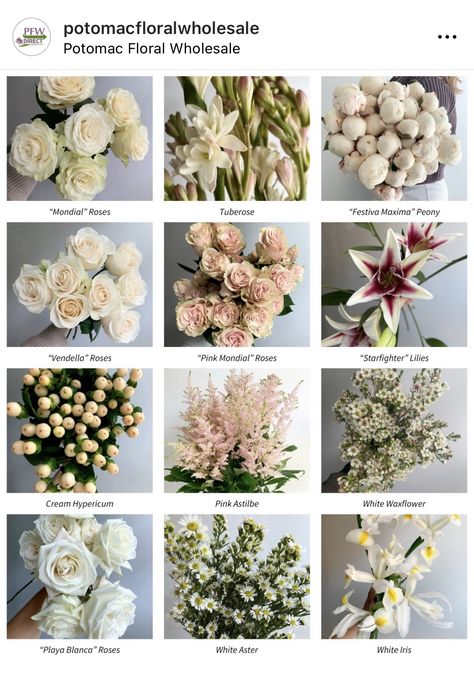 Flower Arrangement Types, Flowers For Bouquet Types Of, Names Of Flowers With Pictures, Types Of Flowers For Bouquet, Types Of Bouquets Shapes, Wedding Flower Types, Flower Dictionary, Different Kinds Of Flowers, Flower Boquet