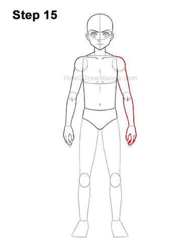 Anime Front View, Body Front View, Pectoral Muscles, Drawing Tutorials For Beginners, Draw Manga, Anatomy Tutorial, What To Draw, Front Hair Styles, Manga Boy