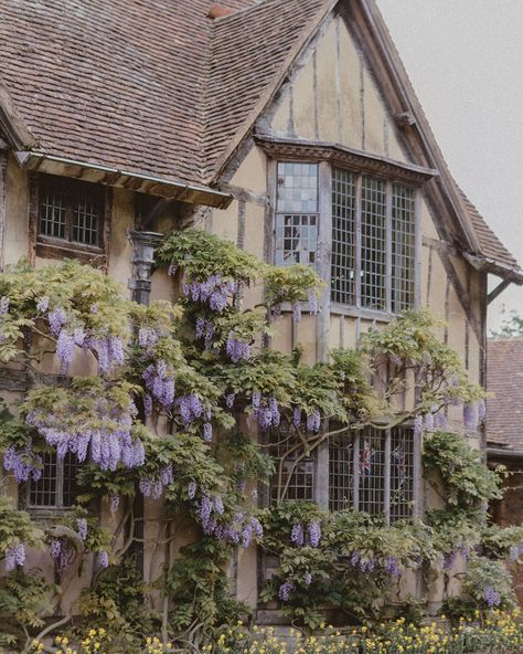 Some photos from Hall’s Croft (Shakespeare’s daughter’s house). Her husband was a physician, and as you can imagine medicine was pretty… Wisteria On House, Aesthetic Wisteria, Wisteria House, Wisteria Cottage, Fav Books, Window Frames, English Countryside, Pretty House, Glass House