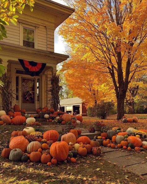 October Country, Pumpkin Leaves, Autumn Magic, Seasons Change, Autumn Scenes, Autumn Scenery, Best Seasons, Autumn Beauty, Autumn Vibes