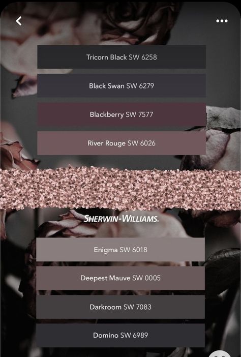 Mauve And Black Bathroom, Sw Cocoa Berry, Black Swan Sherwin Williams, Blackberry Sherwin Williams, Dark Mauve Bathroom, Mauve Complimentary Colors, Moody Fig Paint Magnolia, Blackberry Paint, Dark Gray Color Palette