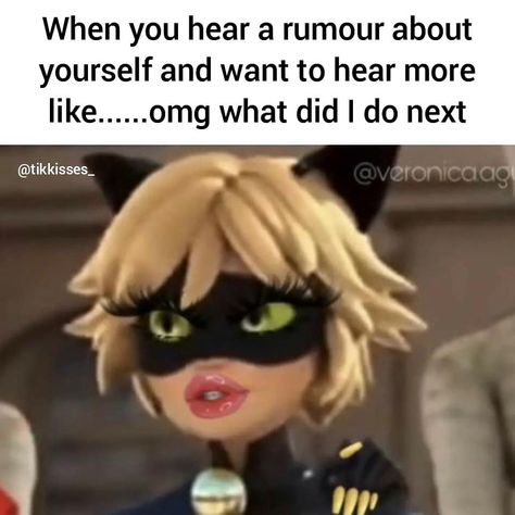 Chat Noir Funny Pics, Miraculous Ladybug Memes Hilarious, Miraculous Meme, Miraculous Photos, Miraculous Memes, Black Woman Artwork, Miraculous Ladybug Oc, Miraculous Wallpaper, Miraculous Ladybug Memes