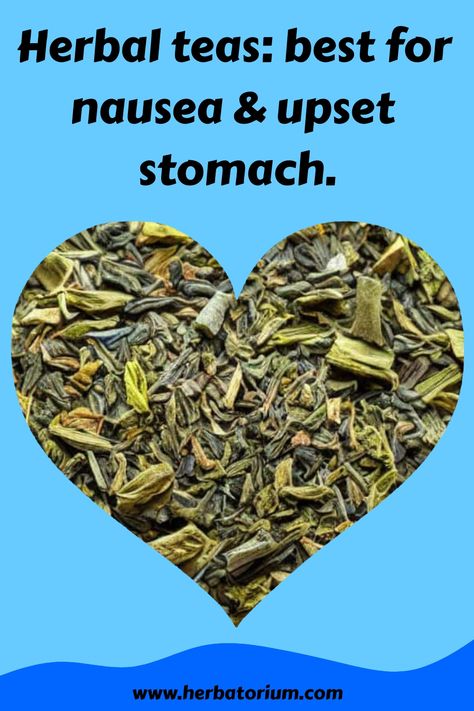 Herbal teas are nature's remedy for nausea and stomach discomfort. Depending on the individual, some of the most popular herbal tea ingredients for nausea relief include peppermint, ginger, fennel, chamomile, and licorice root. Each of these herbs has its own unique benefits; peppermint is great for calming an upset stomach and relieving nausea while ginger can settle an irritated digestive tract. Fennel reduces inflammation in the digestive system while also helping to reduce bloating and Herbs For Nausea, Ginger Tea For Nausea, Tea For Nausea, Stomachache Relief, Remedy For Nausea, Chamomile Recipes, Tea Recipes Loose Leaf, Natural Nausea Remedies, Get Rid Of Nausea