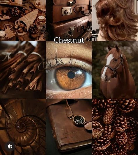 Chestnut Brown Eyes, Pretty Eyes Color, Cute Makeup Looks, Chestnut Brown, Pretty Eyes, Cute Makeup, Brown Eyes, Eye Color, Chestnut