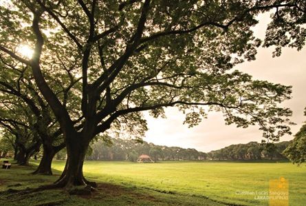 © to its respective owner Sunken Garden Up Diliman Aesthetic, Sunken Garden Up Diliman, University Of The Philippines Diliman, Digi Pics, Grey Vibes, Up Diliman, Film Life, Au Ideas, Sunken Garden