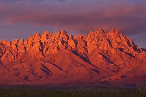 The dramatic Organ Mountains are visible from just about anywhere in Las Cruces. Organ Mountains New Mexico, Desert Mountains Landscapes, Orange Mountains, New Mexico Tattoo, Mexico Tattoo, Desert Mountains, Stone Mountain, San Jacinto, Resin Wall Art