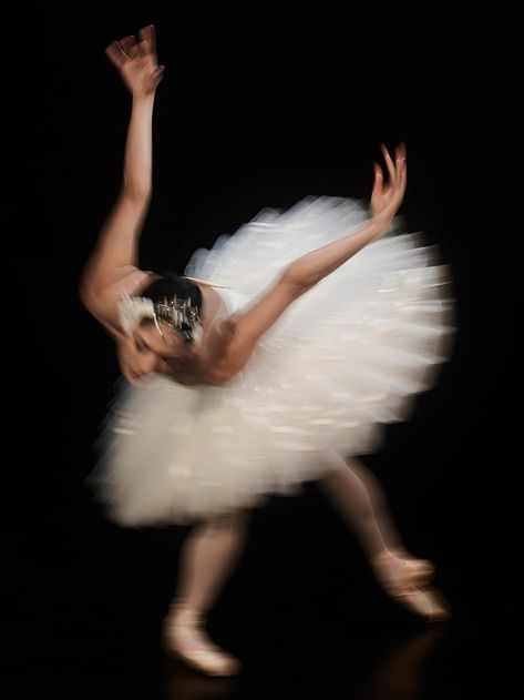 Swan Lake Ballet, Australian Ballet, Ballet Beauty, Ballet Inspiration, Swan Queen, Swan Song, Dancing Aesthetic, White Swan, Wow Art