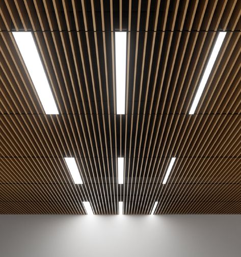 Products - XAL USA Creating Aesthetic, Linear Light Fixture, Retail Office, Ceiling Types, Armstrong Ceiling, Wood Ceiling, Direct Lighting, Office Hotel, Linear Lighting