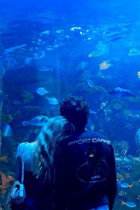 Aquarium Pics Couple, City Date Ideas, Romantic Blue Aesthetic, Aquarium Date Pictures, Couple Aquarium Pictures, Aquarium Couple Photos, Date Aquarium, Aquarium Aesthetic Couple, Aquarium Photo Ideas