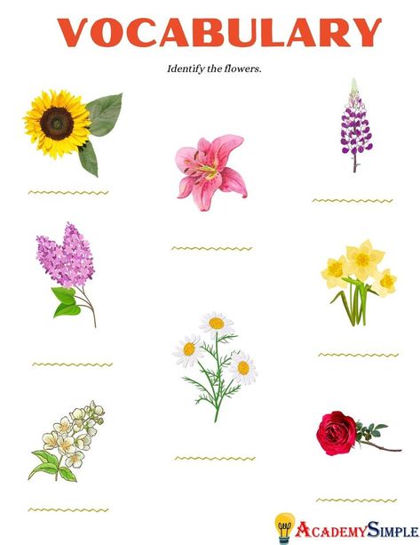 #vocabulary #words #english #english as a second language #flowers #sunflower #lily #bluebonnet #rose #daffodil English Words Vocabulary, Words English, Flowers Name, Words Vocabulary, Mother Tongue, Social Development, Vocabulary Worksheets, English As A Second Language, Flower Names