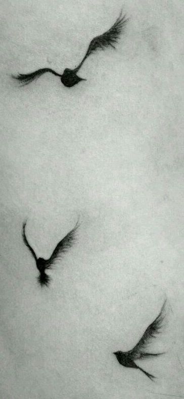 Dark Edgy Tattoo Ideas, Dainty Raven Tattoo, Raven Photography Flying, Minimalistic Men’s Tattoo, Fine Line Crow Tattoo, Crow Outline Tattoo, Small Raven Tattoos For Women, Flying Raven Tattoo, Feather Tattoo Men