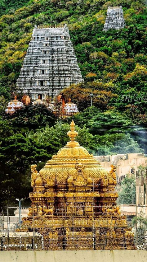 Tirumala Temple Images, Tirupati Temple Photos, Tirupathi Temple Images, Tirupati Photos, Thirumala Thirupathi Temple, Thirupathi Perumal Images Hd, Thirupathi Temple, Tirupati Balaji Temple, Lord Venkateswara Images Full Hd Wallpaper