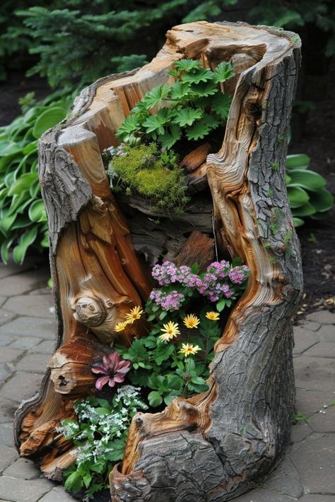 Tree Trunk Ideas, Wood Log Ideas, Tree Stump Decor, Stump Ideas, Tree Stump Planter, Trunk Ideas, Log Ideas, Bonsai Nursery, Fall Landscaping