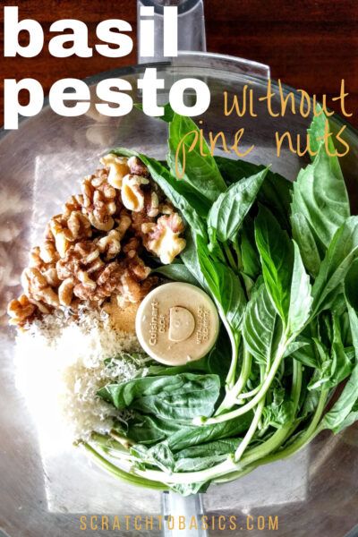 Basil Walnut Pesto, Gluten Free Dips, Budget Vegan, Make Pesto, Dairy Free Dips, Pine Nut Recipes, Healthy Pesto, Walnut Pesto, Healthy Appetizer Recipes