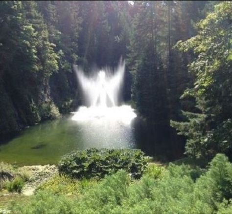 Mysterious Pictures, Pictures Of Angels, Angel Sightings, Angel Clouds, Real Angels, Butchart Gardens, Beautiful Angels, Angels Pictures, And So It Begins