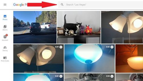 How to Organize Pictures in Google Photos | PCMag Organize Pictures, Future Photos, Share Icon, Family Thanksgiving, Photo Organization, Photo Search, Family Album, Editing Service, Pet Tags