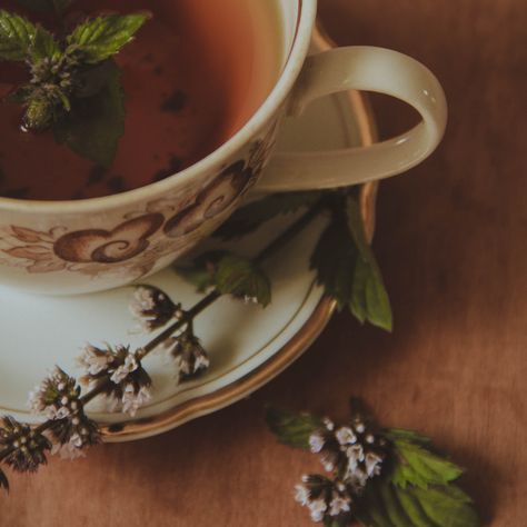 Mint Aesthetic, Mint Tea, It Goes On, Cup Of Tea, Tea Leaves, Aesthetic Photo, Book Aesthetic, Tea Time, Reiki