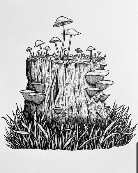 Mushrooms Growing, Forest Drawing, Mushroom Drawing, Nature Drawing, Plant Drawing, Arte Inspo, Sketch Inspiration, Mushroom Art, Tree Stump