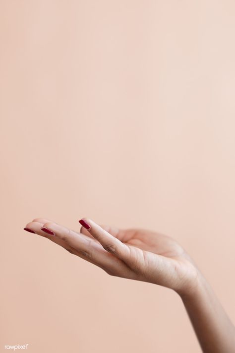 Female hand on a beige background | premium image by rawpixel.com / McKinsey Lashes And Brows, Hand Photography, Hand Photo, Hand Reference, Instagram Ideas Post, Poster Background Design, Instagram Frame, Anatomy Reference, Beige Background