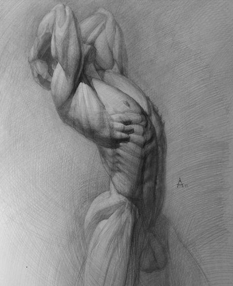 남성 근육, Male Art Men, Male Body Art, Human Sketch, Academic Drawing, Human Anatomy Drawing, Body Sketches, Human Anatomy Art, Anatomy Sketches