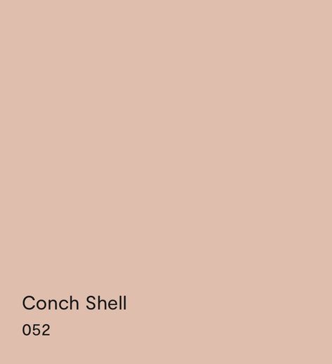 Conch Shell Paint Color, Raleigh Peach Benjamin Moore, Custis Salmon Benjamin Moore, Benjamin Moore Conch Shell, Conch Shell Benjamin Moore, Peach Bedroom Walls, Peach Paint Colors, Texas Symbols, Office Wall Colors