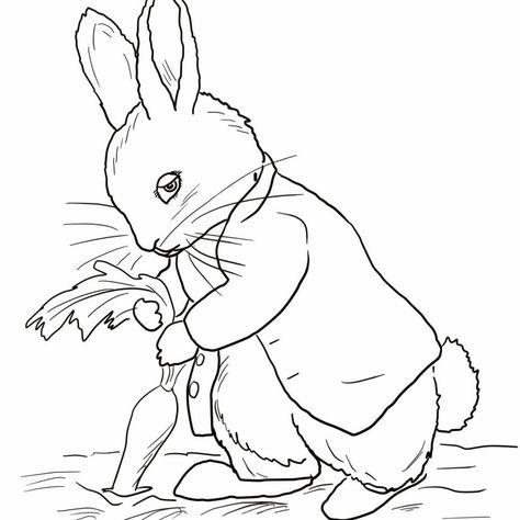 Embroidery Patterns Free Printables, Rabbit Coloring Pages, Rabbit Coloring, Beatrix Potter Illustrations, Beatrice Potter, Peter Rabbit And Friends, Rabbit Colors, Rabbit Drawing, Easter Stuff