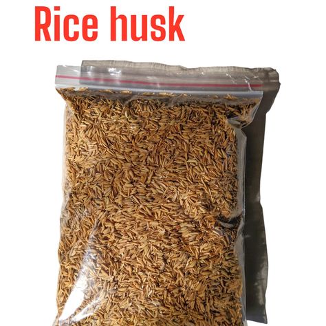 Rice Hulls Natural Hydroponic Compost Growing Media Bulk Rice Husks 25g-1kg Rice Water For Plants Benefits, Rice Husk Products, Rice Hulls, Orchids Flowers, Cactus Succulents, Gardening Plants, The Soil, Hydroponics, All Natural