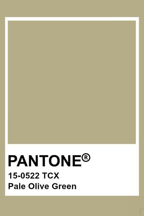 2019-2020 Spring Summer "Shape" Pale Olive Green Sage Green Pantone Colour Palettes, Pantone Earth Tones, Sage Green Swatch, Pantone Sage Green, Sage Green Pantone, Sage Pantone, Brown Pantone, Pantone Tcx, Pantone Green