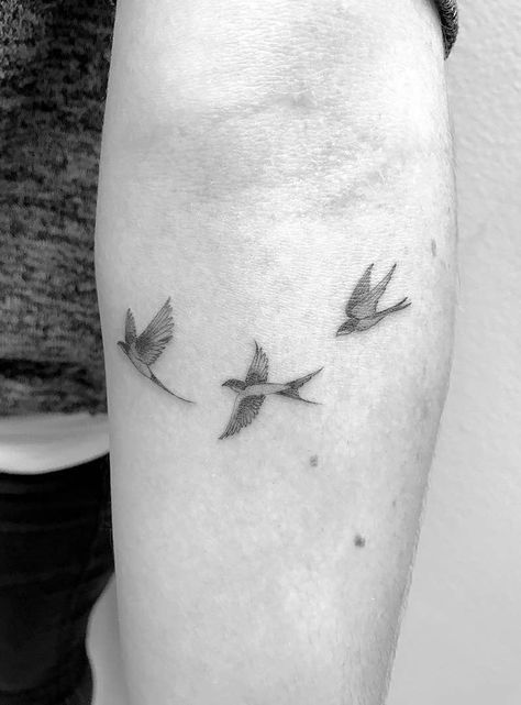 Swallow Tattoos - Tattoo Insider Dainty Swallow Tattoo, Three Swallows Tattoo, 3 Swallows Tattoo, Swallow Bird Tattoo Meaning, Barn Swallow Tattoo, Winter Tattoos, 3 Birds Tattoo, Swallow Bird Tattoo, Traditional Swallow Tattoo