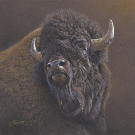 Buffalo Pictures, Buffalo Painting, Animal Painter, Buffalo Animal, Bison Art, Buffalo Art, African Buffalo, Buffalo Bison, Musk Ox