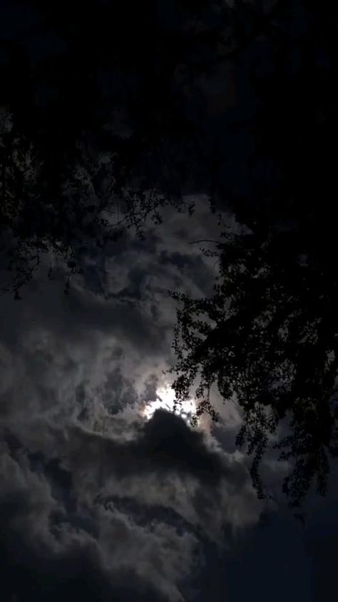 Palm Tree Photography, Night Sky Moon, Moonlight Photography, Night Sky Photography, Night Sky Wallpaper, Beautiful Scenery Pictures, Sky Pictures, Moon Photography, Sky Photos