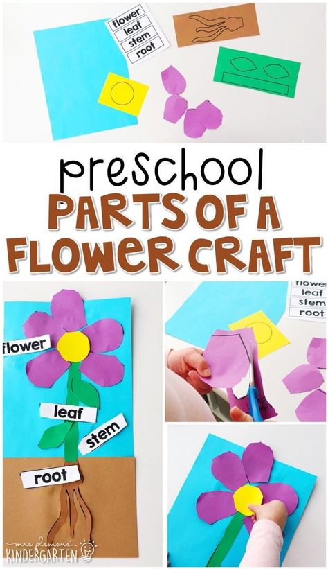 G Activities, Preschool Plants, Letter G Activities, Spring Lesson Plans, Spring Preschool Activities, Spring Lessons, Preschool Garden, Plant Activities, Plant Crafts