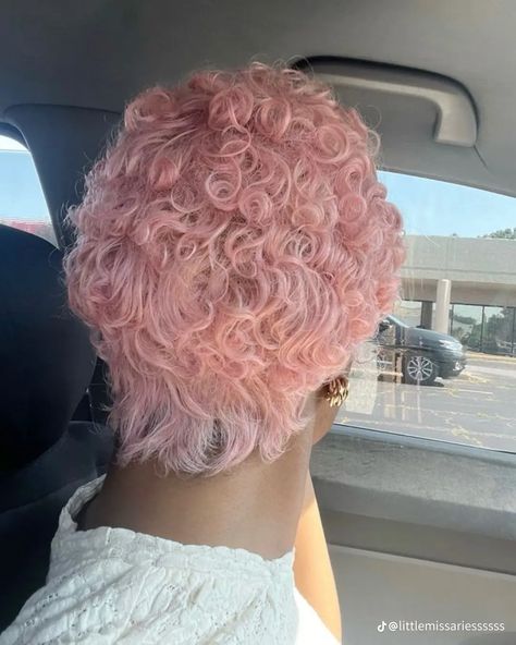 Defined Curls Natural Hair, Pink Pixie Cut, Dusty Pink Hair, Bubblegum Pink Hair, Pink Short Hair, Baby Pink Hair, Hair 2025, Finger Waves Short Hair, Pink Pixie