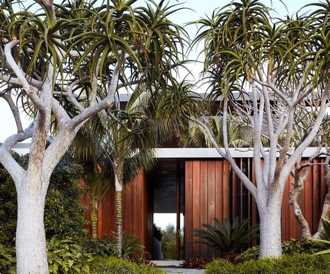 A robust coastal garden by William Dangar Australian Garden Design, Australian Native Garden, Small Courtyard Gardens, Cottage Garden Design, Australian Garden, Coastal Gardens, Family Garden, Sustainable Garden, Native Garden