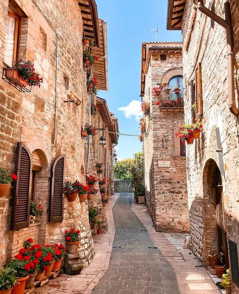 📍Assisi, Italy 🇮🇹 .  Assisi, one of the most well preserved medieval towns of Italy, has a population of about 30 thousand. Famous for its… Assisi Italy, Italy Street, Italy Aesthetic, Nightlife Travel, Medieval Town, Famous Places, Umbria, Street Scenes, Pretty Places