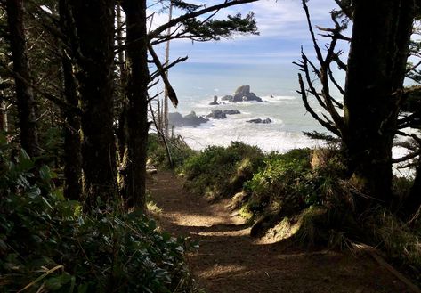 Oregon State Parks, Ecola State Park, Cannon Beach, Hiking Trail, Oregon Coast, Nature Aesthetic, Stunning View, Pacific Northwest, Hiking Trails