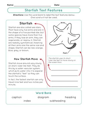 Your students will demonstrate their understanding of nonfiction text features, such as caption, diagram, and heading, with this helpful vocabulary worksheet. Non Fiction Text Features Worksheet, Nonfiction Graphic Organizer, Worksheet 3rd Grade, Poetic Techniques, Teaching Informational Text, Text Features Worksheet, Library Rooms, Home Library Rooms, Text Dependent Questions