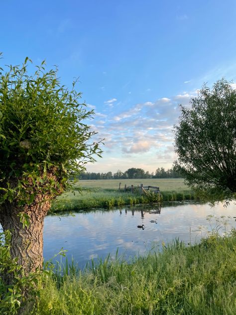 dutch canal just after sunrise. countryside summer mornings Sunrise Countryside, Early Summer Morning, June Journal, Dutch Countryside, Summer Diary, Summer Morning, Summer 3, Summer Landscape, Gap Year