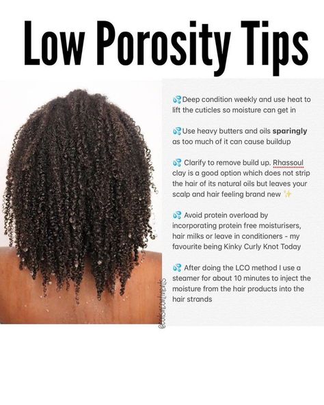 Black Hair Products, Low Porosity Hair Care, Low Porosity Natural Hair, Low Porosity Hair, 4c Hair Care, Low Porosity, Natural Hair Growth Tips, Natural Hair Regimen, Hair Milk