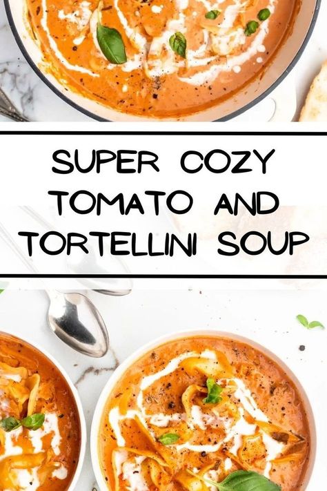 Tomato Ravioli Soup, Tomato Tortellini Soup Crockpot, Tortellini Recipes Soup, Tomato Basil Tortellini Soup, Tortellini Soup Crockpot, The Best Tomato Soup, Cheese Tortellini Soup, Ravioli Soup, Creamy Tomato Soup Recipe