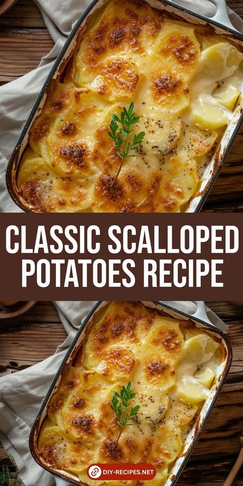 Try this classic Scalloped Potatoes recipe! Sliced potatoes in a creamy sauce with onions and garlic, baked to perfection. Perfect side dish for any meal! Scalloped Potatoes For 2, Scalopped Potatoes Recipe, Scallop Potatoes Recipes, Ideas With Potatoes, Scallop Potato, Baked Scalloped Potatoes, Scallop Potatoes, Scalloped Potato Casserole, Homemade Scalloped Potatoes