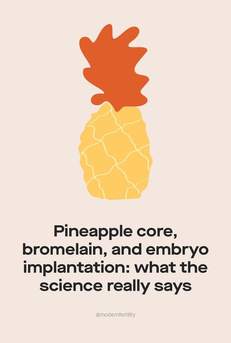 Modern Fertility, Embryo Implantation, Fertility Quotes, Pineapple Core, Eating Pineapple, Frozen Embryo Transfer, Pineapple Benefits, Growing Healthy Hair, Embryo Transfer