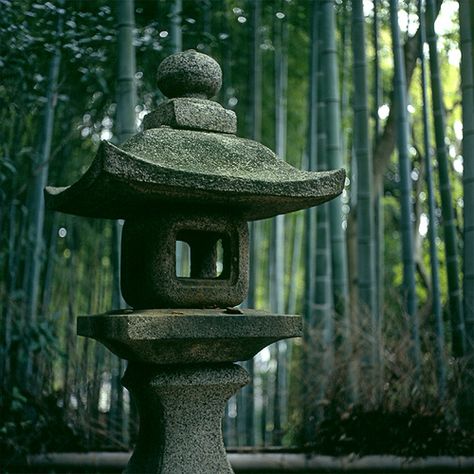 Stone Lantern | Brecht Cuppens | Flickr Japanese Landscape Design, Zen Garden Ideas, Garden Ideas On A Budget, Japanese Garden Lanterns, Japanese Stone Lanterns, Bamboo Trees, Japanese Pagoda, Japanese Lantern, Stone Lantern