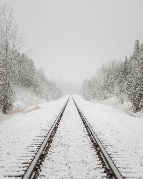 Silver Blonde, Over The Garden Wall, Winter Love, Snow Scenes, Train Tracks, Winter Aesthetic, Winter Photography, The Train, Winter Day