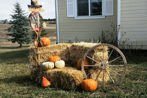 Fall Hay Bale Decor Yard, Straw Bale Decor Fall, Fall Hay Bale Display, Fall Hay Bale, Decorated Hay Bales, Hay Bale Fall Decor, Hay Bale Decor, Fall Yard Decor, Straw Decorations